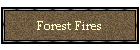 Forest Fires