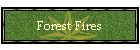 Forest Fires