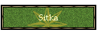 Sitka